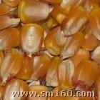 求购玉米小麦棉粕高粱淀粉